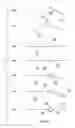 Fig. 08 - Method of stringing beads and article thereof