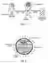 Fig. 02 - Fluorescent organic nanoparticles