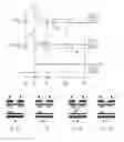 Fig. 01 - Plasma display apparatus and method of driving the same