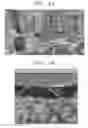 Fig. 02 - Image presentation method and apparatus for 3D navigation and mobile device including the apparatus