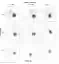 Fig. 07 - Dynamic visualization of data streams