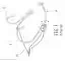 Fig. 02 - MICROPHONE DEVICE ADAPTED TO BE WORN ON AN EAR