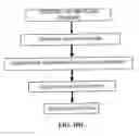 Fig. 18 - Systems, methods and devices for use in filter-based assessment of carcass grading