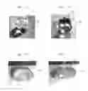 Fig. 06 - Apparatus for controlling the movement of a liquid on a nanostructured or microstructure surface