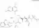 Fig. 99 - Hepatitis C virus inhibitors