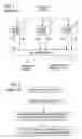 Fig. 02 - System and method for quantitative competition and recording medium having recorded thereon program for implementing the method
