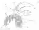 Fig. 01 - TOOTH BRUSHING SYSTEM