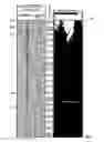 Fig. 05 - Analyzing resistivity images for determining downhole events and removing image artifacts