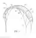 Fig. 02 - Traction kite with deformable leading edge