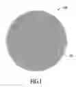 Fig. 02 - SCRIBE BASED BOND PADS FOR INTEGRATED CIRCUITS