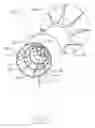 Fig. 02 - VORTICITY REDUCING COWLING FOR A DIFFUSER AUGMENTED WIND TURBINE ASSEMBLY