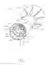 Fig. 02 - WIND TURBINE WITH DIFFERENT SIZE BLADES FOR A DIFFUSER AUGMENTED WIND TURBINE ASSEMBLY
