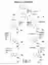 Fig. 07 - Combination of intercalating organometallic complexes and tumor seeking biomolecules for DNA cleavage and radiotherapy
