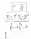 Fig. 35 - PHOTOCHROMIC PROBES