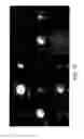 Fig. 43 - PHOTOCHROMIC PROBES