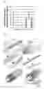 Fig. 02 - Method of controlling hair shape