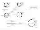 Fig. 01 - 5-fluorouracil-resistant bacteria and method for production thereof