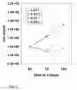 Fig. 02 - Pluripotent cells
