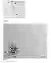 Fig. 07 - Pluripotent cells