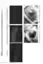 Fig. 05 - Preventive or Therapeutic Agent for Inflammatory Ocular-Surface Diseases