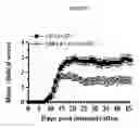 Fig. 02 - Target for regulating multiple sclerosis
