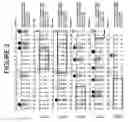 Fig. 03 - Humanized antibodies against TL1A