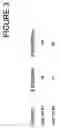 Fig. 04 - Humanized antibodies against TL1A