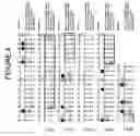 Fig. 05 - Humanized antibodies against TL1A