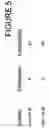 Fig. 06 - Humanized antibodies against TL1A