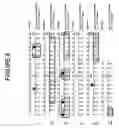 Fig. 09 - Humanized antibodies against TL1A