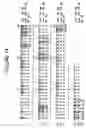 Fig. 15 - Humanized antibodies against TL1A