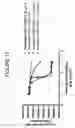 Fig. 16 - Humanized antibodies against TL1A