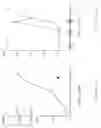 Fig. 31 - COUPLING OF PERIPHERAL TOLERANCE TO ENDOGENOUS IL-10 PROMOTES EFFECTIVE MODULATION OF T CELLS AND AMELIORATES AUTOIMMUNE DISEASE