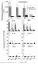 Fig. 45 - COUPLING OF PERIPHERAL TOLERANCE TO ENDOGENOUS IL-10 PROMOTES EFFECTIVE MODULATION OF T CELLS AND AMELIORATES AUTOIMMUNE DISEASE