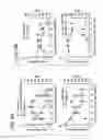 Fig. 07 - Recombinant MHC molecules useful for manipulation of antigen-specific T-cells