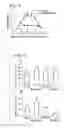 Fig. 08 - Recombinant MHC molecules useful for manipulation of antigen-specific T-cells