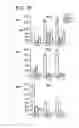 Fig. 32 - Recombinant MHC molecules useful for manipulation of antigen-specific T-cells