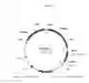 Fig. 12 - Immunization of fish with plant-expressed recombinant proteins