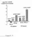 Fig. 05 - Streptococcal Genes