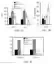 Fig. 04 - Genetic adjuvants for immunotherapy