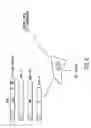 Fig. 10 - Recombinant newcastle disease virus RNA expression systems and vaccines