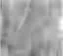 Fig. 01 - Adjuvant viral particle