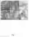 Fig. 04 - Adjuvant viral particle