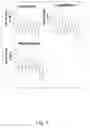 Fig. 05 - Adjuvant viral particle