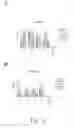Fig. 09 - Adjuvant viral particle