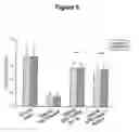 Fig. 06 - CONTROL OF INTESTINAL INFLAMMATORY SYNDROMES WITH A PREPARATION OF KILLED OR NON INFECTIOUS BACTERIA