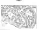 Fig. 08 - CONTROL OF INTESTINAL INFLAMMATORY SYNDROMES WITH A PREPARATION OF KILLED OR NON INFECTIOUS BACTERIA