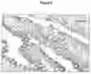 Fig. 09 - CONTROL OF INTESTINAL INFLAMMATORY SYNDROMES WITH A PREPARATION OF KILLED OR NON INFECTIOUS BACTERIA
