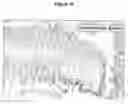 Fig. 11 - CONTROL OF INTESTINAL INFLAMMATORY SYNDROMES WITH A PREPARATION OF KILLED OR NON INFECTIOUS BACTERIA