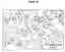 Fig. 13 - CONTROL OF INTESTINAL INFLAMMATORY SYNDROMES WITH A PREPARATION OF KILLED OR NON INFECTIOUS BACTERIA